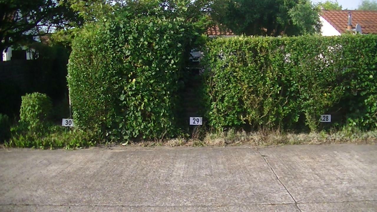 Maison De Dunes Bredene Dış mekan fotoğraf